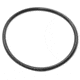 Maglite O-ring, Tail Cap - 108-000-030