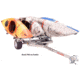 Malone Auto Racks XtraLight LowMax 4 Kayak Trailer Package, 4 J-Racks, MPG596XJ4