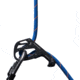 Mammut 9.5 Crag Dry Rope, blue-ocean, 70 m, 2010-06060-50624-1070