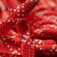 Mammut 9.5 Gym Classic Rope, Raspberry/White, 40 m, 2010-04260-01286-1040