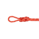 Mammut 9.5 Gym Classic Rope, Raspberry/White, 40 m, 2010-04260-01286-1040