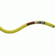 Mammut 9.5 Infinity Dynamic Rope, Dry Standard, Pappel-Limegreen, 80 m, 2010-02641-11136-1080