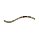 Mammut 9.9 Gym Classic Single Rope, Olive/Surf, 40 m, 2010-04080-01214-1040