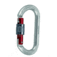 Mammut Oval Screwgate Carabiner
