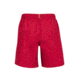 Marmot Boys Og Short, Sienna Red, Extra Large 43100-6005-XL