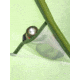 Marmot Vapor 2P Tent, Foliage, One Size, M13999-19170-ONE