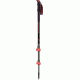 Eiger HP Trekking Poles-54 in