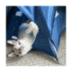 Matador Tiny Tent, Blue, TTENT001B