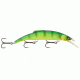Matzuo Kinchou Minnow Pike/Muskie Series Bait,5.5in,Natural Perch 118774