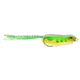 Matzuo Kroak Frog 2" Leopard, MZCFNV2-M10