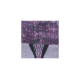 Smartwool Merino 250 Pattern Cuffed Beanie-Unisex, Dark Blue Steel, Unisex Medium, SW0SC181292-1FM