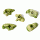 Micro Holds - Greatest Hits - 5 Pack