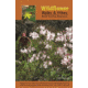 Milestone Press Wildflower Hikes &amp; Walks Nc Mt 9781889596372
