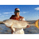 Mojo Sportswear Company Performance Hoodie - Mens, Redfish, 2XL, Redfish - 2XL - PRF Hoodie