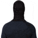 Mountain Hardwear Alpine Balaclava - Unisex, Black, Black, OU8030010