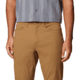 Mountain Hardwear AP Active Pants - Mens, Corozo Nut, 30x30, 190423020461