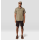 Mountain Hardwear Canyon Short Sleeve - Men's, Stone Green, M, 2110231-397-M