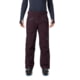 Mountain Hardwear Cloud Bank Gore-Tex Insulated Pant - Men's