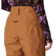 Mountain Hardwear Cloud Bank GORE-TEX Pant - Womens, Copper Clay, Extra Large, 2092461257-XL-R
