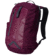 Mountain Hardwear Enterprise 21 L Backpack-Dark Raspberry