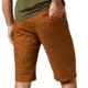 Mountain Hardwear Hardwear AP Short - Mens, 9in Inseam, Golden Brown, 38 US, 1661001233-38-9