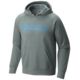 Mountain Hardwear Logo Graphic Pullover Hoody - Mens