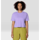 Mountain Hardwear Graphic Boxy Crop SS Top - Womens