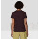Mountain Hardwear MHW Logo Standard Short Sleeve - Womens