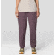 Mountain Hardwear Rockrydge Pants - Womens