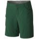 Mountain Hardwear Ramesa Short V2 - Womens
