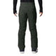 Mountain Hardwear Sky Ridge Gore-Tex Pant - Men's, Black Sage, Medium, Regular, OM8937306-M-R