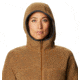 Mountain Hardwear Southpass Fleece Hoody - Women's, Golden Brown, Medium, OL8864233-M