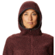 Mountain Hardwear Southpass Fleece Hoody - Women's, Washed Raisin, Large, OL8864629-L