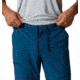 Mountain Hardwear Trail Sender Pant - Mens, Dark Caspian, 38, Regular, 1982491418-38-R