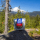 Mountain House Beef Stroganoff Pouch