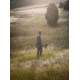 Mountain Khakis Highland Field Shirt Classic Fit - Mens, Forest Moss, XXL, N43301FOREST MOSSXXL