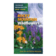 Mountaineers Books Rocky Mountain Wildflowers 9781937052034
