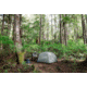 MSR Hubba Hubba HD Tent