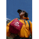 MSR S25 Elixir 4 Tent, Moss, 4, 13701