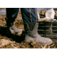 Muck Boots Originals Pull On Mid Boots - Mens, Black, 15, OMM-000-BLK-150
