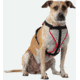 Nathan Reflective Dog Harness Sm NS8500-0579-S