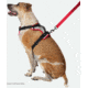 Nathan Reflective Dog Harness Sm NS8500-0579-S