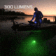 Nebo Submerser Underwater Fishing Light and Dock Light, 300 Lumens, NEB-OTH-0007