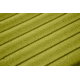 NEMO Equipment Astro Insulated Sleeping Pad, Birch Bud, Long Wide, 811666034618