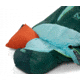 NEMO Equipment Disco 30 Sleeping Bag - Womens, Celestial/Moonglade, Regular, Right Zip, 811666030979