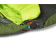 NEMO Equipment Tempo 35 Sleeping Bag - Mens, Sapling/Dark Timber, Long, Left Zip, 811666030764