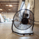 NewAir 18in High Velocity Portable Floor Fan, Black, WindPro18F