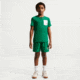 Nike Nike Multi Big Kids Boys Dri-FIT Training Shorts in Green IR4942-365, Green, XS, male, 1015930169-00198959842212