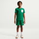 Nike Nike Multi Big Kids Boys Dri-FIT Training Shorts in Green IR4942-365, Green, XS, male, 1015930169-00198959842212