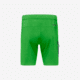 Norrona Falketind Flex1 Light Shorts - Mens, Classic Green, Small, 1801-24-3384-S
